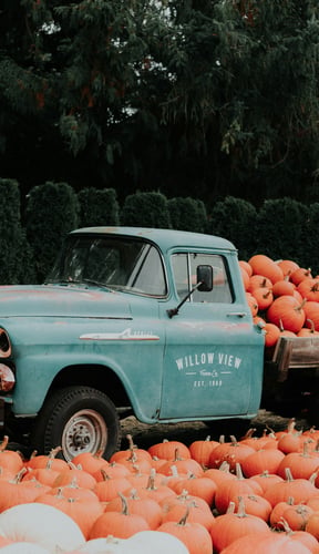 Farm and orchard near Nashville