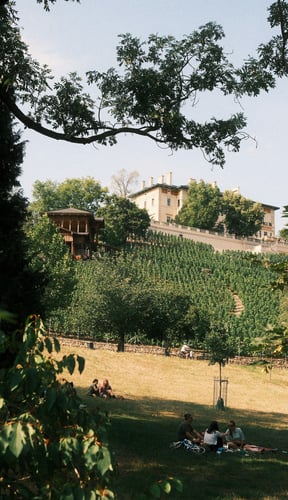 Wine tasting near Nashville