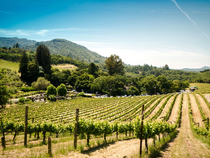 Thomas George Estates
