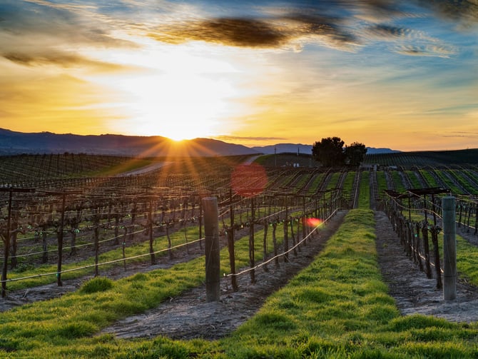 Harvest Moon Estate & Winery