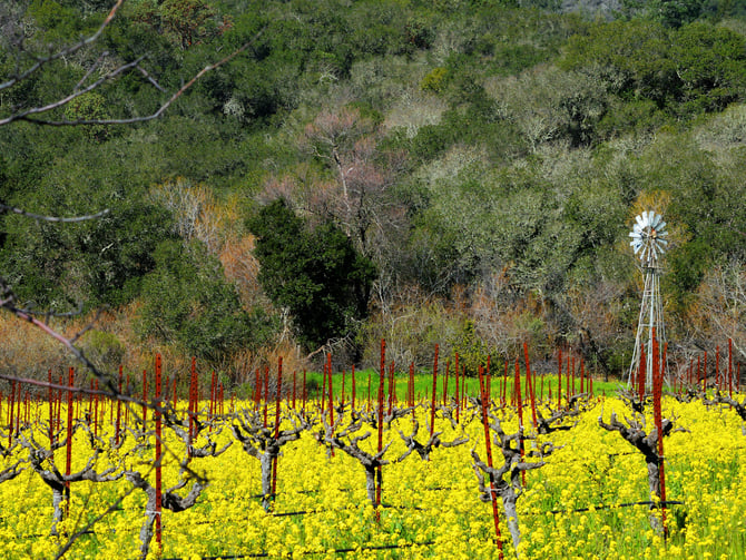 Gracianna Winery
