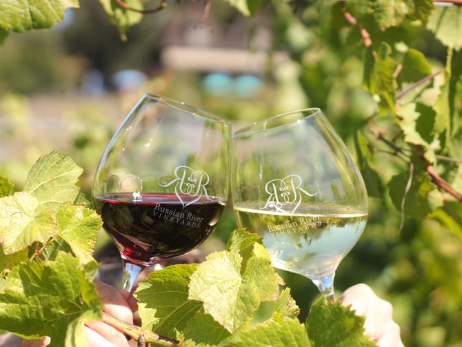 Russian River Vineyards