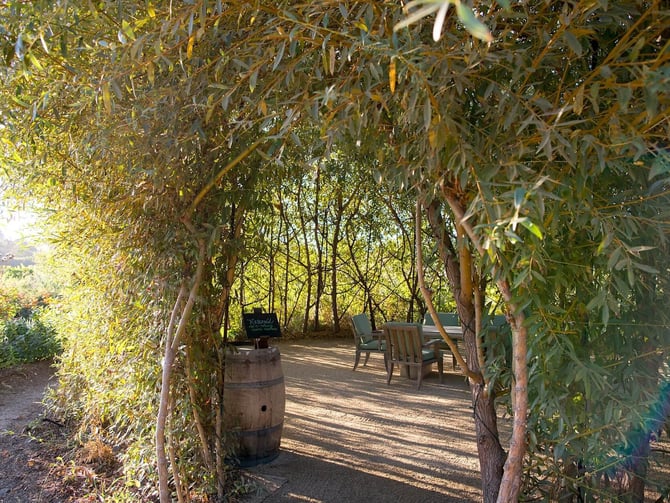 DaVero Farms & Winery