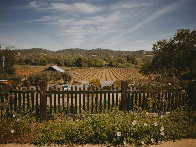 La Crema Estate at Saralee's
