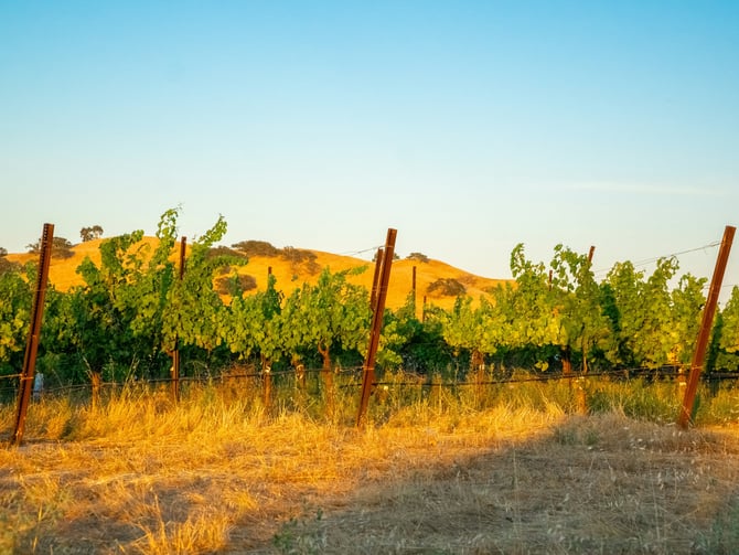 TWOMEY Russian River Valley
