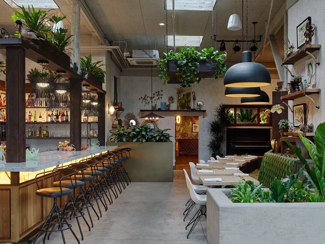Fern Bar